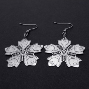316L Earrings