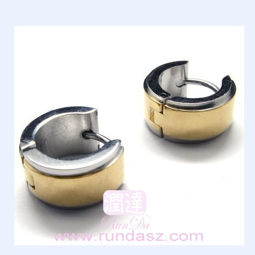 316L Earrings 