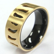 Stainless Steel Ring