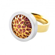316L Rings