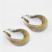 316L Earrings