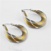 316L Earrings