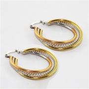 316L Earrings