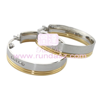 316L Earrings 