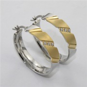 316L Earrings