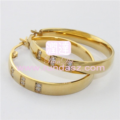 316L Earrings 