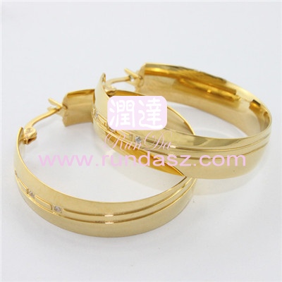 316L Earrings 