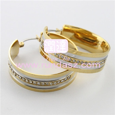 316L Earrings 
