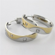 316L Earrings