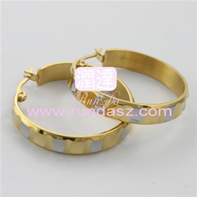 316L Earrings 
