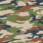 camouflage